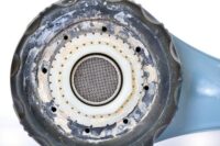 Hard water buildup on shower head