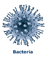 Bacteria in Water